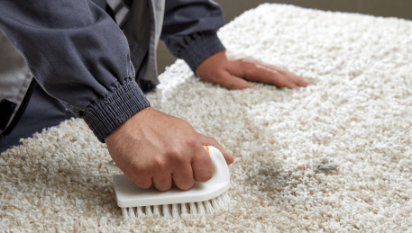 Professional Rug Cleaning Mount Wallace